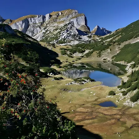 Mia Ried im Zillertal