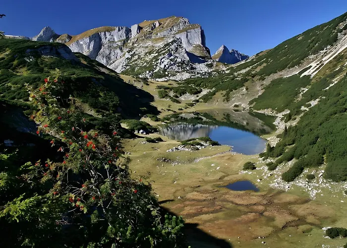 Mia Ried im Zillertal